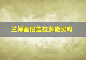 兰博基尼盖拉多能买吗