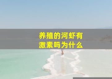 养殖的河虾有激素吗为什么