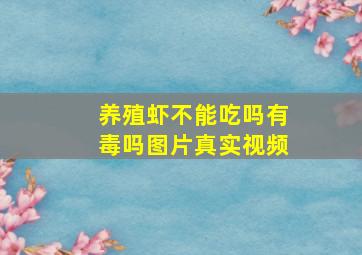 养殖虾不能吃吗有毒吗图片真实视频