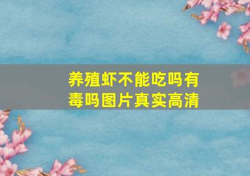 养殖虾不能吃吗有毒吗图片真实高清