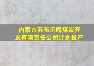 内蒙古苏布尔嘎煤炭开发有限责任公司计划投产