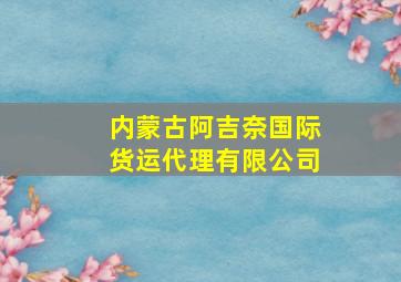 内蒙古阿吉奈国际货运代理有限公司