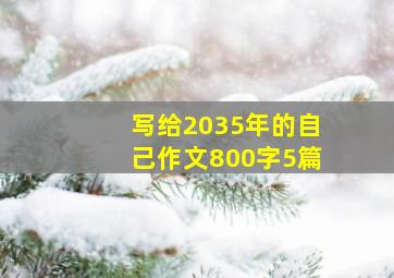 写给2035年的自己作文800字5篇