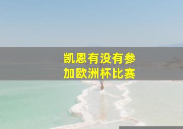 凯恩有没有参加欧洲杯比赛