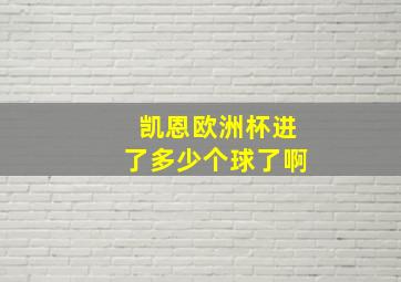 凯恩欧洲杯进了多少个球了啊