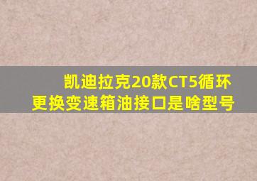 凯迪拉克20款CT5循环更换变速箱油接口是啥型号