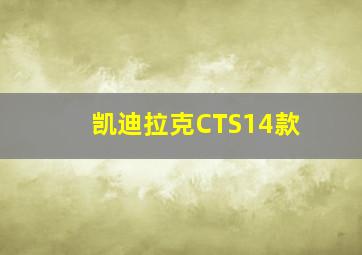 凯迪拉克CTS14款