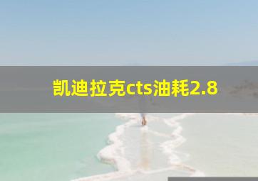 凯迪拉克cts油耗2.8