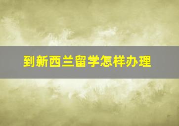 到新西兰留学怎样办理