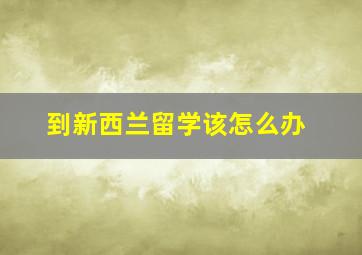 到新西兰留学该怎么办