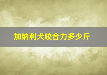 加纳利犬咬合力多少斤