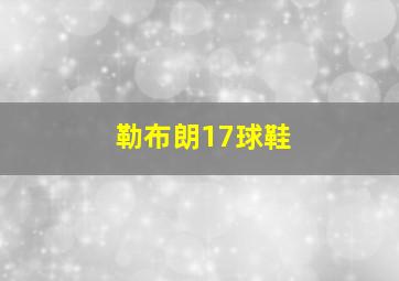 勒布朗17球鞋