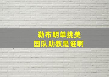 勒布朗单挑美国队助教是谁啊