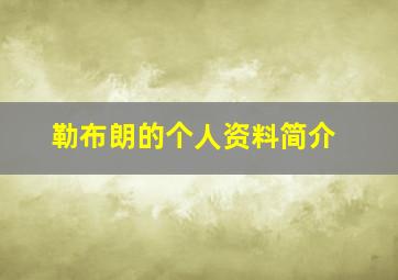 勒布朗的个人资料简介