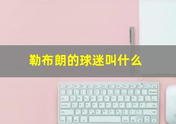 勒布朗的球迷叫什么