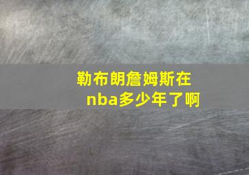 勒布朗詹姆斯在nba多少年了啊