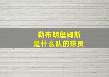 勒布朗詹姆斯是什么队的球员