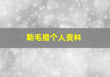 勒毛措个人资料