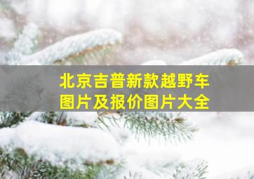 北京吉普新款越野车图片及报价图片大全