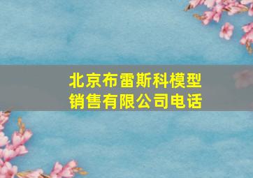 北京布雷斯科模型销售有限公司电话