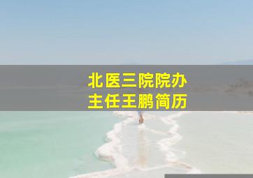 北医三院院办主任王鹏简历