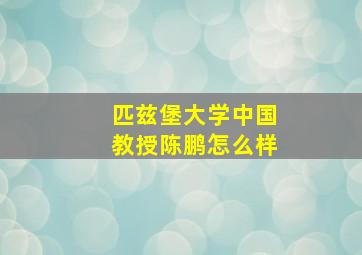 匹兹堡大学中国教授陈鹏怎么样