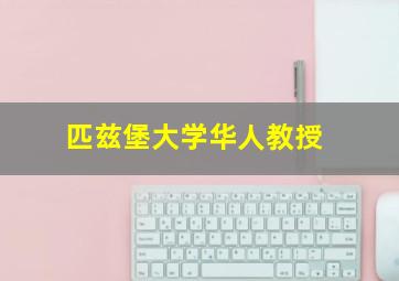 匹兹堡大学华人教授