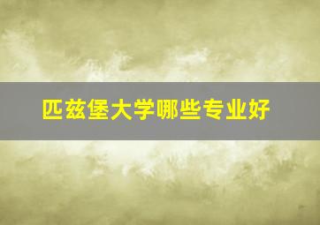 匹兹堡大学哪些专业好