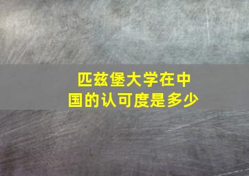 匹兹堡大学在中国的认可度是多少