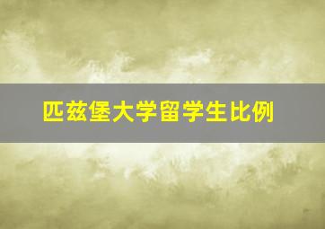 匹兹堡大学留学生比例