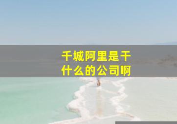 千城阿里是干什么的公司啊