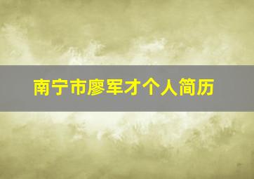 南宁市廖军才个人简历