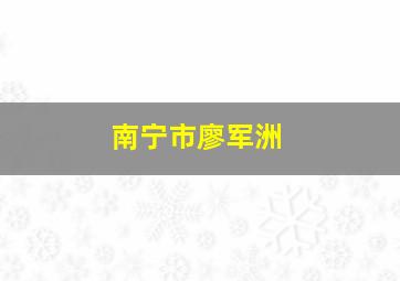 南宁市廖军洲