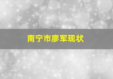 南宁市廖军现状