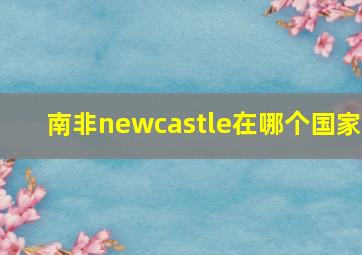 南非newcastle在哪个国家