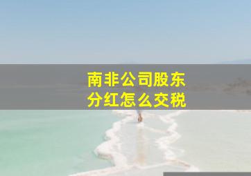 南非公司股东分红怎么交税