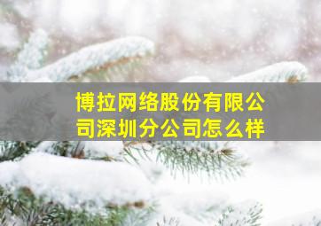 博拉网络股份有限公司深圳分公司怎么样