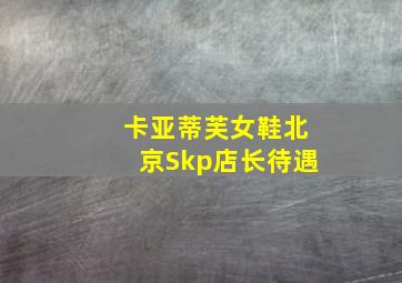 卡亚蒂芙女鞋北京Skp店长待遇