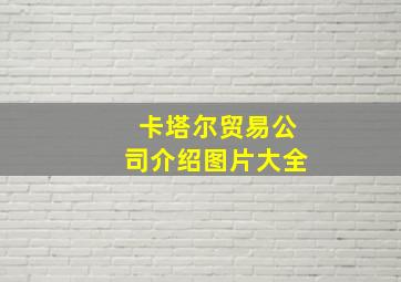 卡塔尔贸易公司介绍图片大全