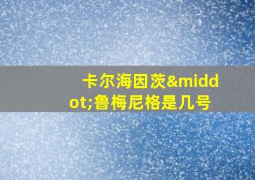 卡尔海因茨·鲁梅尼格是几号