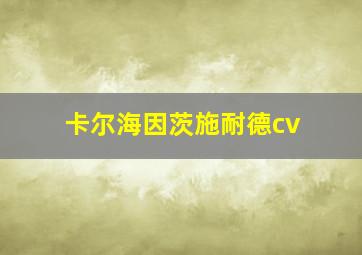 卡尔海因茨施耐德cv