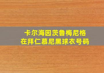 卡尔海因茨鲁梅尼格在拜仁慕尼黑球衣号码