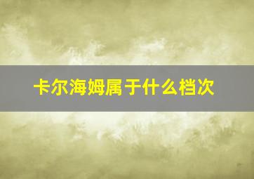 卡尔海姆属于什么档次