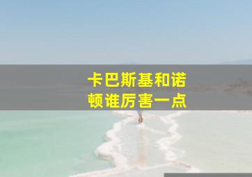 卡巴斯基和诺顿谁厉害一点