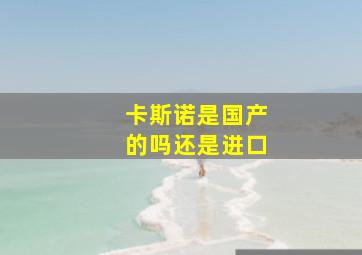 卡斯诺是国产的吗还是进口