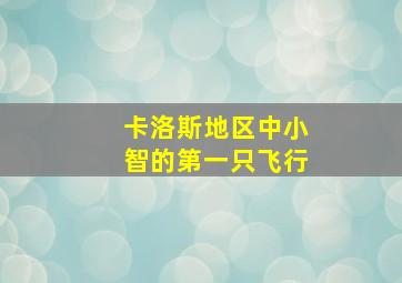 卡洛斯地区中小智的第一只飞行