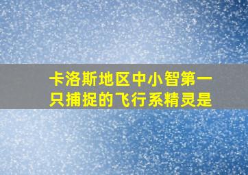 卡洛斯地区中小智第一只捕捉的飞行系精灵是