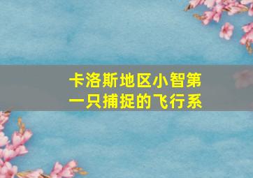 卡洛斯地区小智第一只捕捉的飞行系