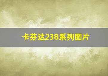 卡芬达238系列图片