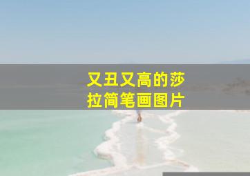 又丑又高的莎拉简笔画图片